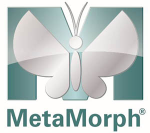 Metamorph software download postgresql for windows free download