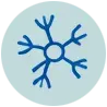 6_cartographie réseau dendritique