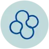 6_classification cellule par cellule