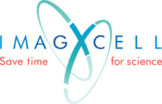 ImagXcell - logo-menu